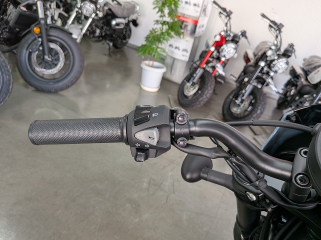 �z���_���u��250�i���Q�����R�s�j�摜12