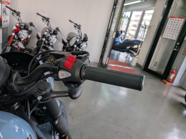 �z���_���u��250�i���Q�����R�s�j�摜13