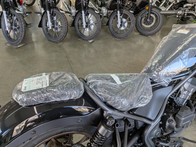 �z���_���u��250�i���Q�����R�s�j�摜15