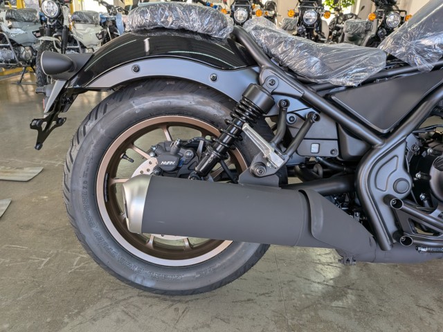 �z���_���u��250�i���Q�����R�s�j�摜17