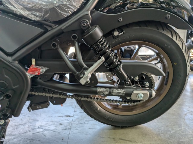 �z���_���u��250�i���Q�����R�s�j�摜20