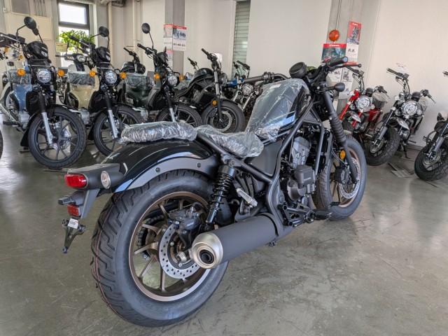 �z���_���u��250�i���Q�����R�s�j�摜8