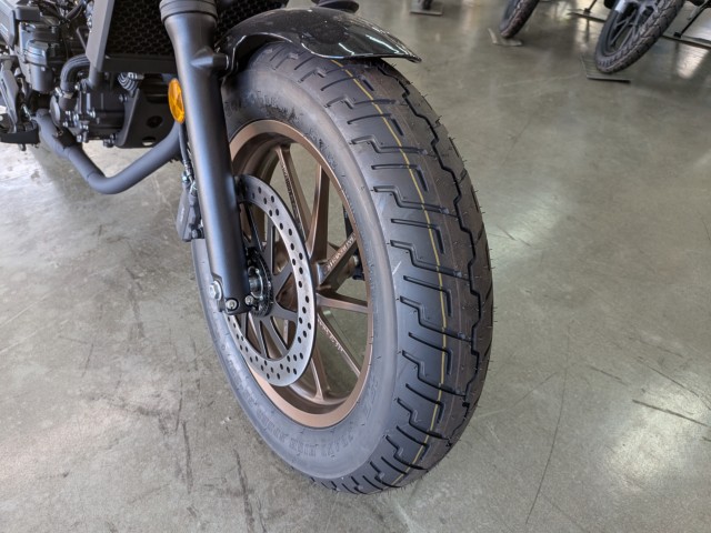 �z���_���u��250�i���Q�����R�s�j�摜10