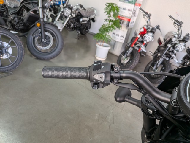 �z���_���u��250�i���Q�����R�s�j�摜12