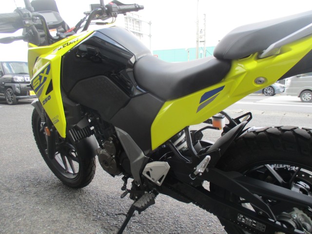 XYLVXg[250SXiQFaS쒬j摜3