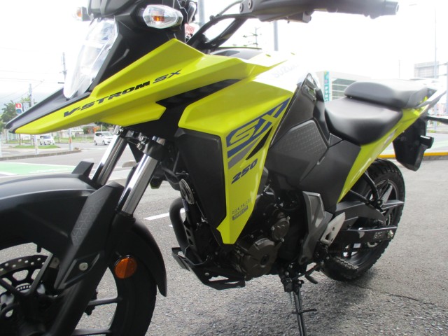 XYLVXg[250SXiQFaS쒬j摜4