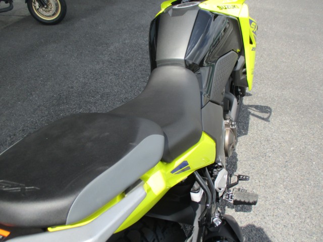 XYLVXg[250SXiQFaS쒬j摜8