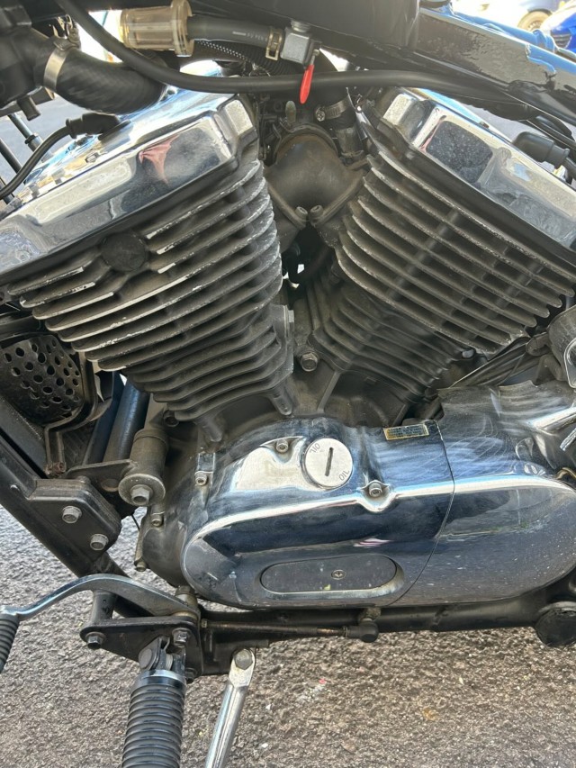 �J���T�L�o���J��400�i���Q�����R�s�j�摜6