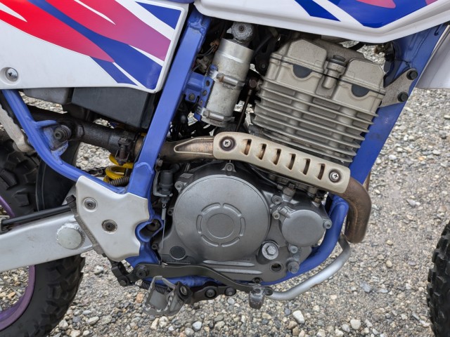 }nTT250RiQkFaSSkj摜8