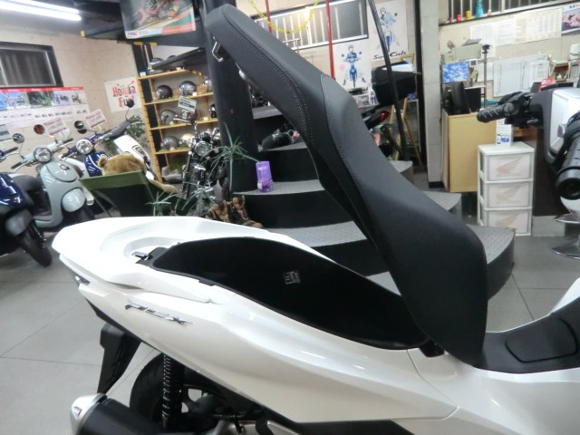 �z���_PCX�i���Q�����R�s�j�摜16