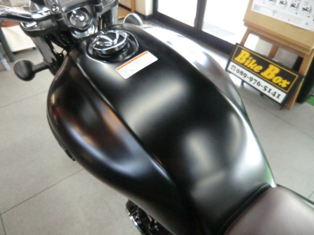 z_GB350iQRsj摜14