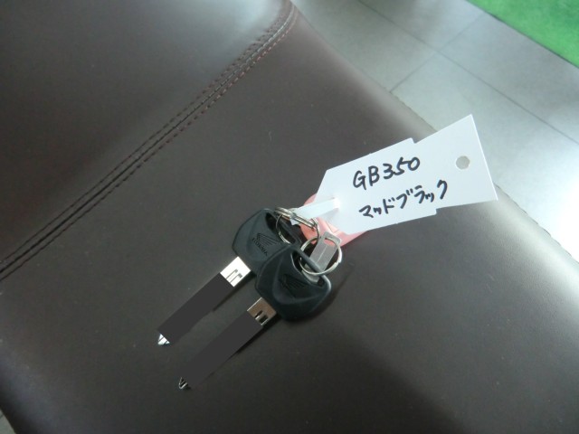 z_GB350iQRsj摜18