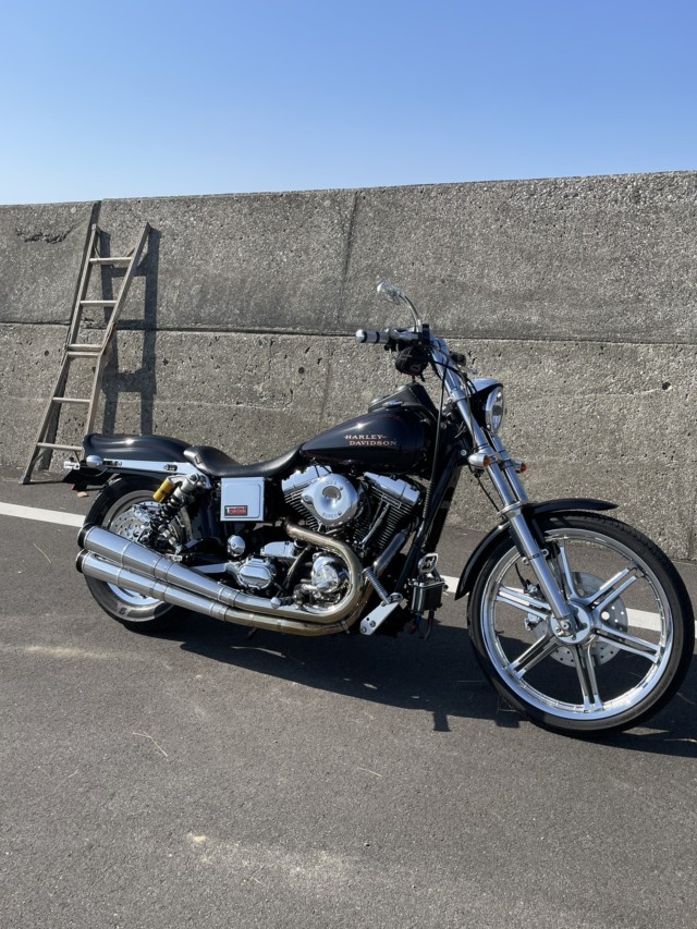 �n�[���[�n�[���[�_�r�b�h�\��FXDL�i���Q���ɗ\�s�j�摜10