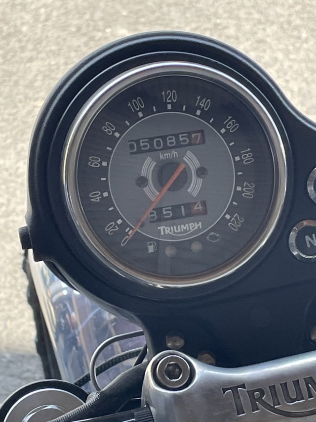 gCAtgCAt{lrT100iQɗ\sj摜13