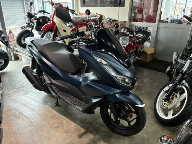 �z���_PCX�i���쌧�ω����s�j�摜2