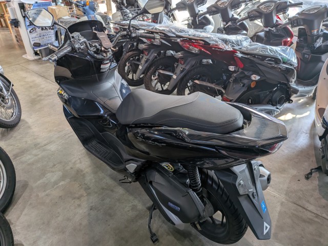 �z���_PCX�i���쌧�ω����s�j�摜5