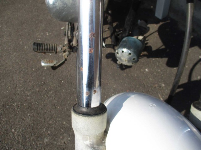 p[cp[c ̑i쌧̌S쒬j摜4