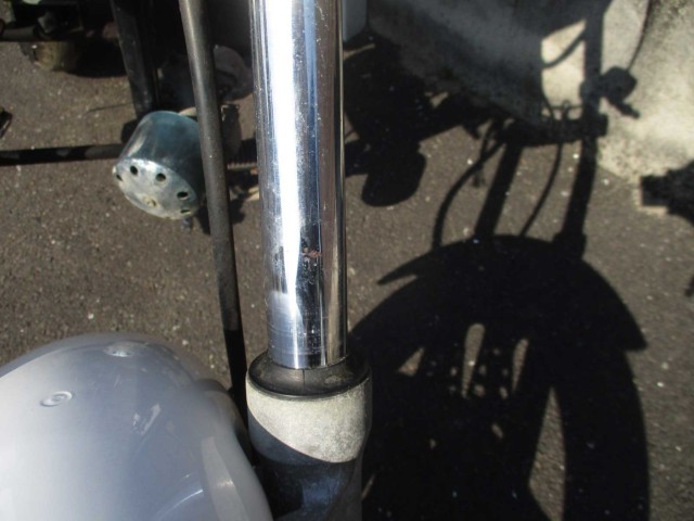 p[cp[c ̑i쌧̌S쒬j摜5