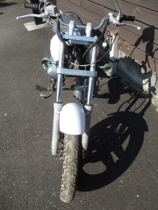 p[cp[c ̑i쌧̌S쒬j摜6