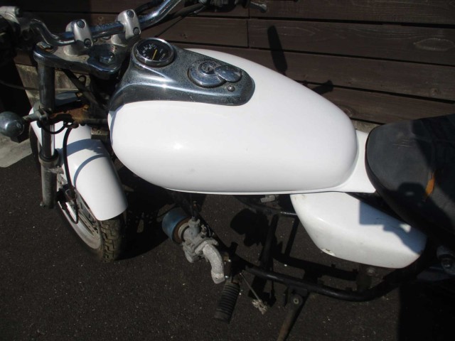 p[cp[c ̑i쌧̌S쒬j摜16