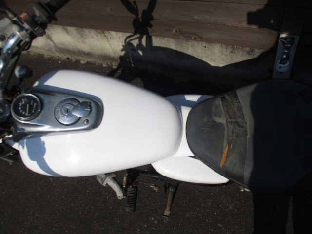 p[cp[c ̑i쌧̌S쒬j摜17