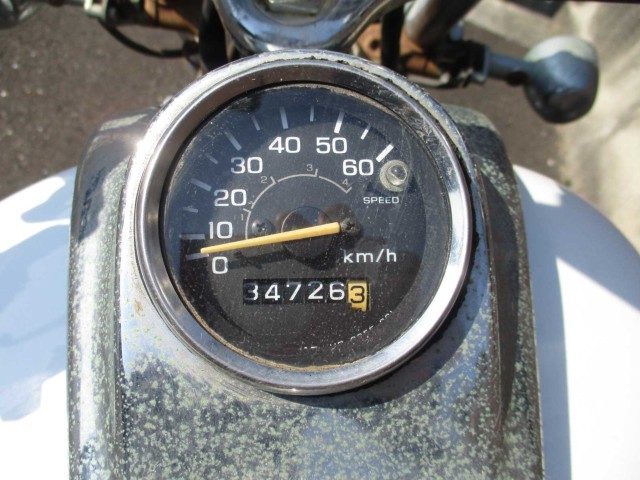 p[cp[c ̑i쌧̌S쒬j摜19