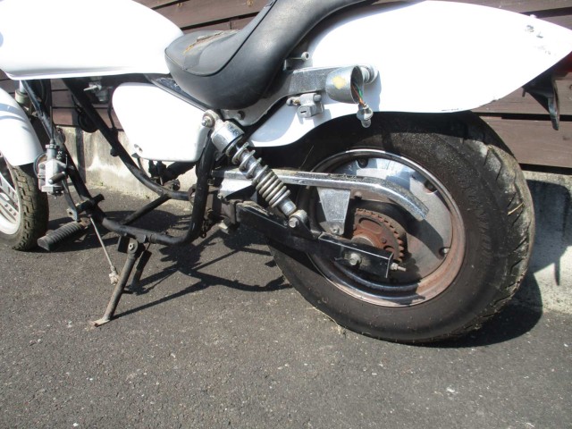 p[cp[c ̑i쌧̌S쒬j摜20