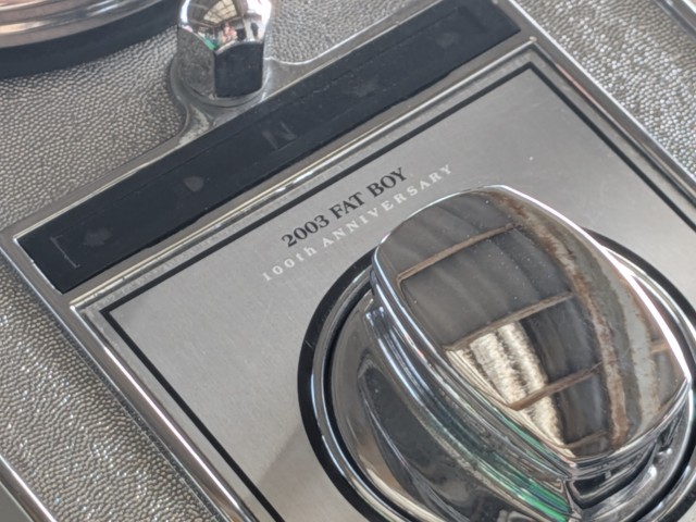 �n�[���[�n�[���[�_�r�b�h�\��FLSTF �t�@�b�g�{�[�C�i���쌧��o�s�j�摜22