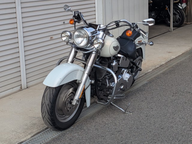 �n�[���[�n�[���[�_�r�b�h�\��FLSTF �t�@�b�g�{�[�C�i���쌧��o�s�j�摜13