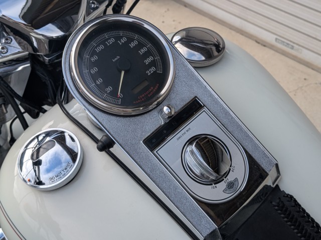 �n�[���[�n�[���[�_�r�b�h�\��FLSTF �t�@�b�g�{�[�C�i���쌧��o�s�j�摜21