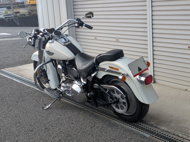 �n�[���[�n�[���[�_�r�b�h�\��FLSTF �t�@�b�g�{�[�C�i���쌧��o�s�j�摜28