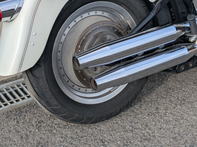 �n�[���[�n�[���[�_�r�b�h�\��FLSTF �t�@�b�g�{�[�C�i���쌧��o�s�j�摜3