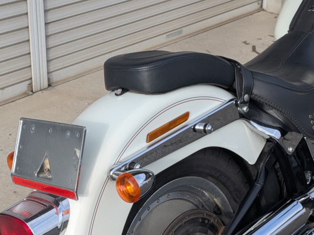 �n�[���[�n�[���[�_�r�b�h�\��FLSTF �t�@�b�g�{�[�C�i���쌧��o�s�j�摜4