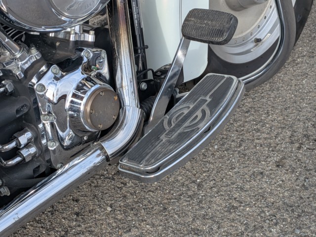 �n�[���[�n�[���[�_�r�b�h�\��FLSTF �t�@�b�g�{�[�C�i���쌧��o�s�j�摜5