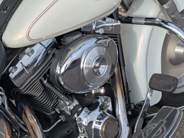 �n�[���[�n�[���[�_�r�b�h�\��FLSTF �t�@�b�g�{�[�C�i���쌧��o�s�j�摜6