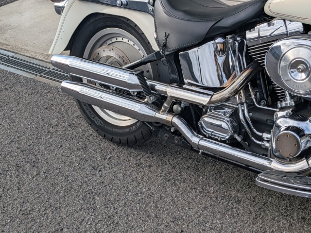 �n�[���[�n�[���[�_�r�b�h�\��FLSTF �t�@�b�g�{�[�C�i���쌧��o�s�j�摜10