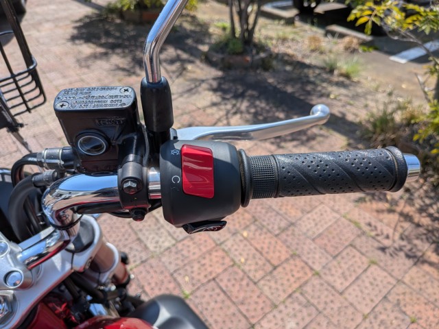 �z���_�����L�[125�i���쌧�����s�j�摜16