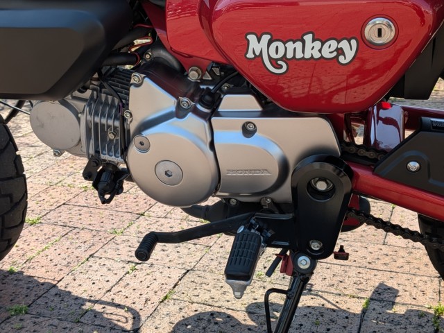 �z���_�����L�[125�i���쌧�����s�j�摜29