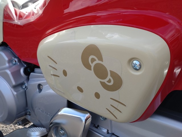 �z���_�X�[�p�[�J�u110�i���쌧���̌S�F���Ò��j�摜10