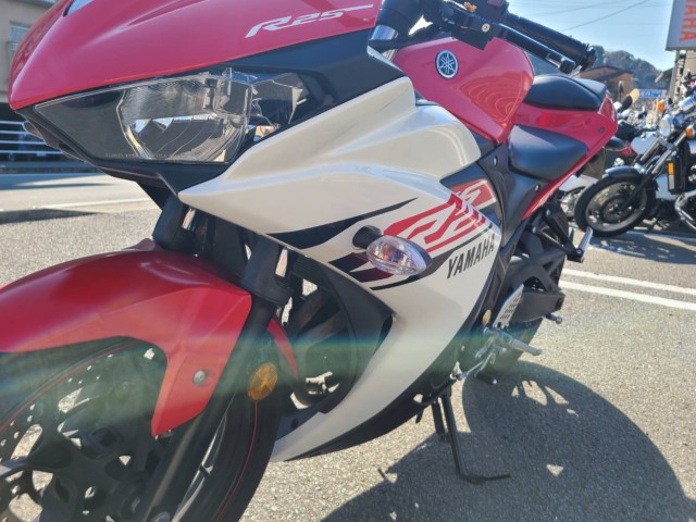 ���}�nYZF-R25�i���Q�����R�s�j�摜8