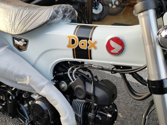 �z���_�_�b�N�X125�i���Q�����R�s�j�摜4