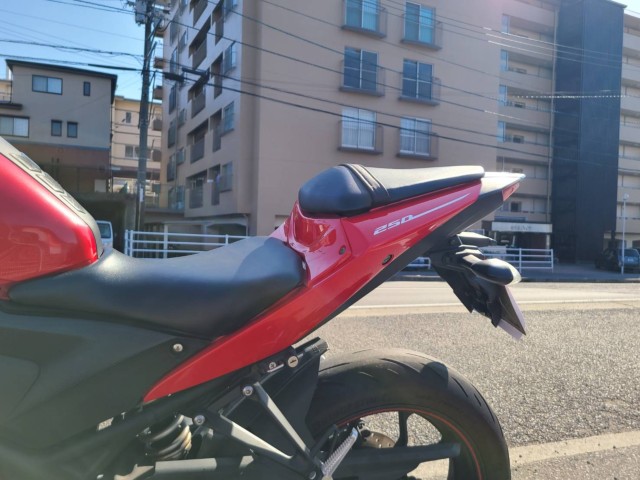 ���}�nYZF-R25�i���Q�����R�s�j�摜15