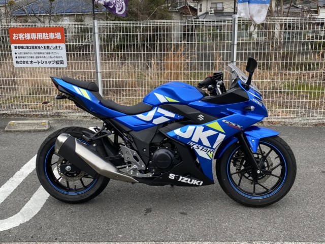XYLGSX250RiQRsj摜2