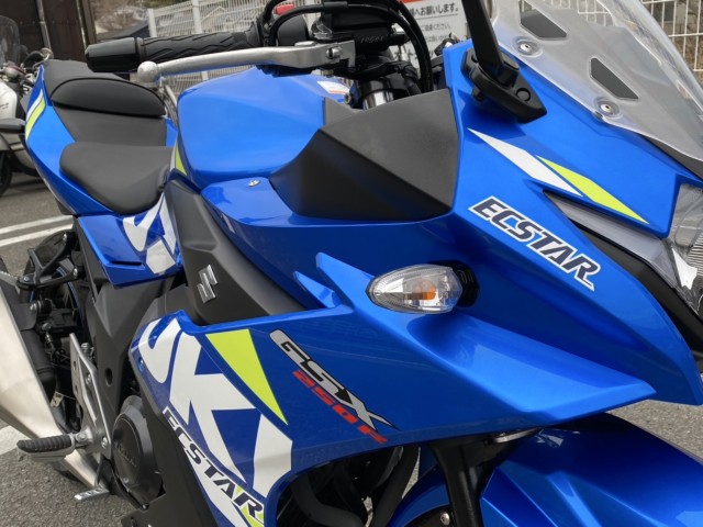 XYLGSX250RiQRsj摜15