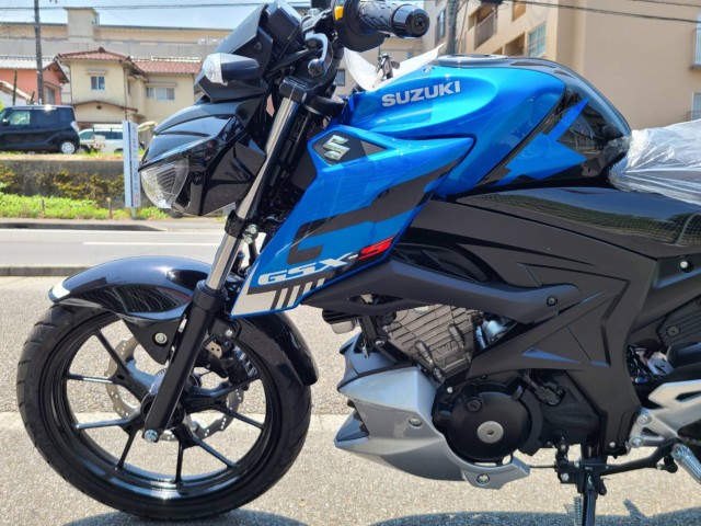 XYLGSX-S125 ABSiQRsj摜12