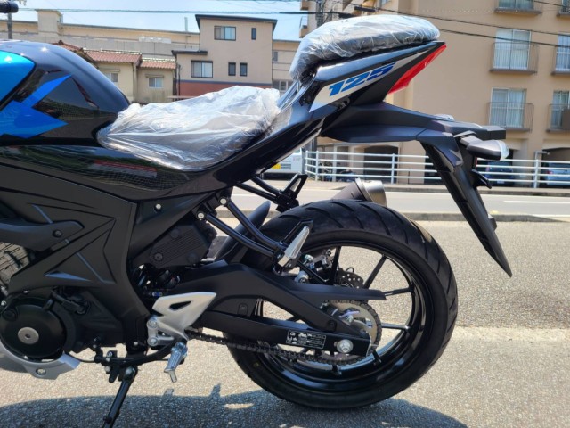 XYLGSX-S125 ABSiQRsj摜13