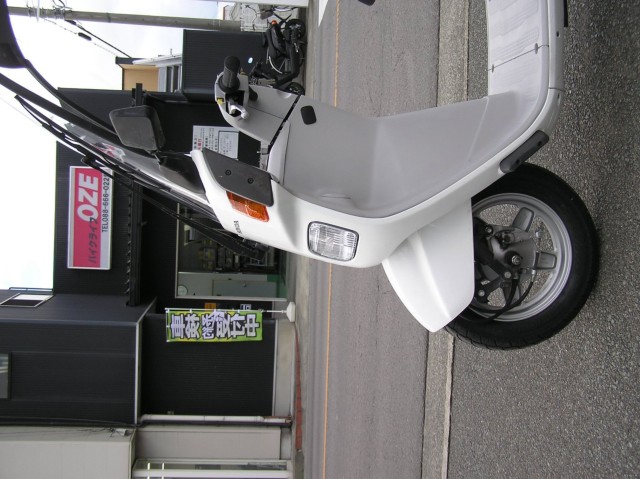 �z���_�W���C���L���m�s�[�i�����������s�j�摜6