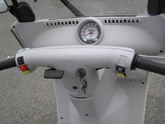 �z���_�W���C���L���m�s�[�i�����������s�j�摜13