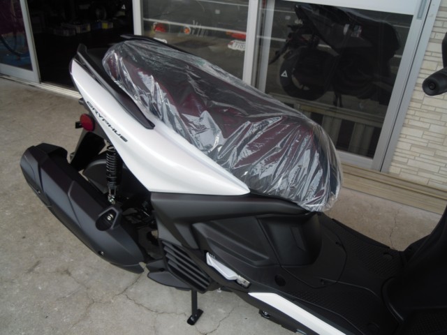 ���}�n�V�O�i�X�O���t�@�X�i���Q�����R�s�j�摜10