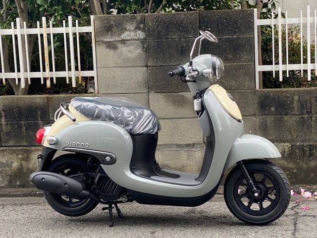 �z���_�W�����m�i���Q�����R�s�j�摜2